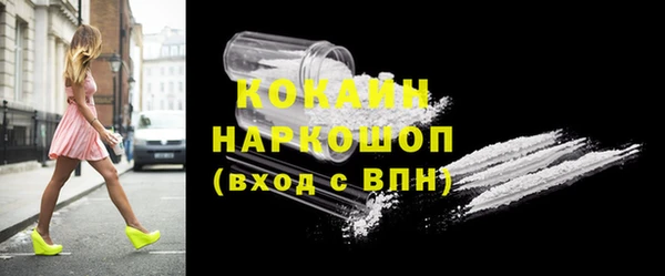 твердый Алексин