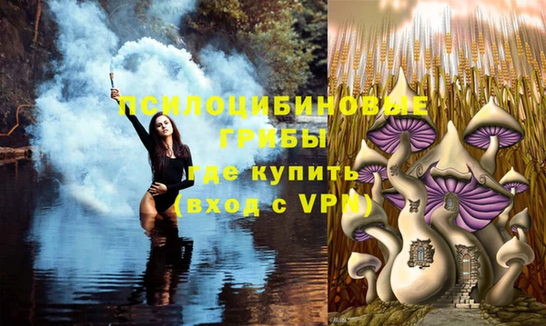 твердый Алексин