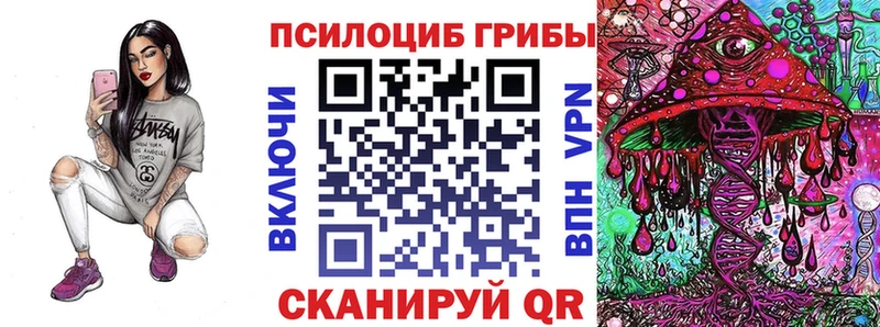 Галлюциногенные грибы Magic Shrooms  блэк спрут ссылки  Рыбное  купить наркотики цена 
