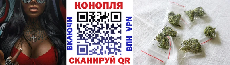 где продают наркотики  кракен как зайти  Бошки Шишки гибрид  Рыбное 